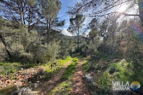 Helårsgrund i Jalon, Alicante, Jalon - € 210.000 | Ref: P-601 - foto 5